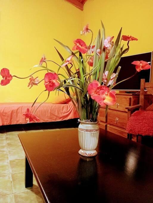 El Loft De Lu *